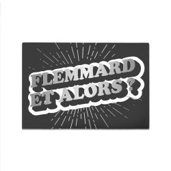 Magnet Flemmard et alors