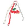 Porte-clés bijou de sac grigri fruits