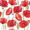 Serviettes en papier Coquelicots blanc 25x25 cm